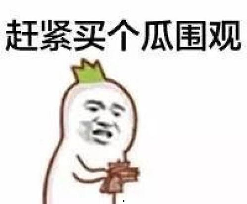 娱乐吃瓜酱千万不要,揭秘“娱乐吃瓜酱”背后的故事