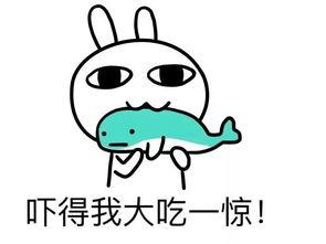 娱乐吃瓜酱吃苦,揭秘娱乐圈苦中带甜的幕后故事