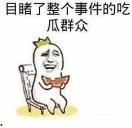 倔强式单身娱乐吃瓜酱,吃瓜酱的欢乐生活点滴