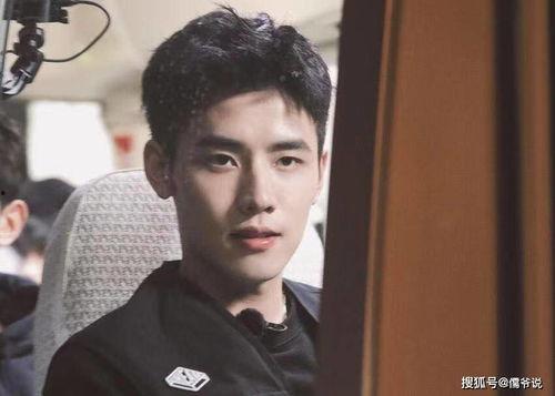 吃瓜娱乐圈任豪,娱乐圈的瓜田新秀，星光璀璨的蜕变之路