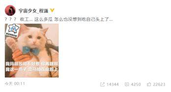 娱乐圈吃瓜爆料程潇,娱乐圈风云变幻中的璀璨星辉