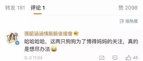 娱乐吃瓜选题,揭秘明星背后的故事与幕后真相