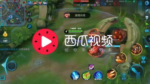 娱乐吃瓜视频背景音乐