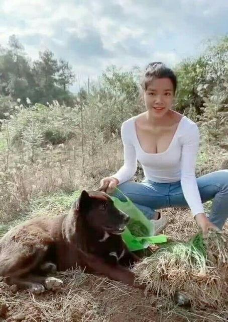 娱乐吃瓜酱大山里