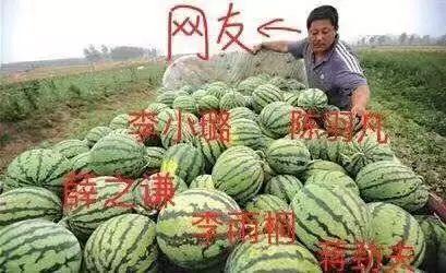 娱乐吃瓜公司有哪些