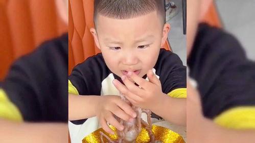 娱乐吃瓜酱小男孩