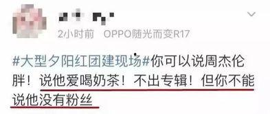 娱乐吃瓜报道怎么写的文案,吃瓜群众热议的幕后故事