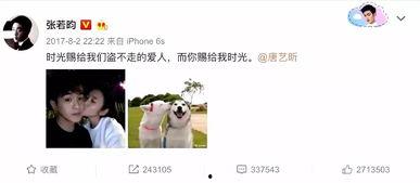 娱乐圈吃瓜爆料张翰,揭秘背后的真相与争议