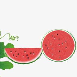 娱乐吃瓜酱素材库下载,吃瓜酱素材库大揭秘，明星幕后故事全收录